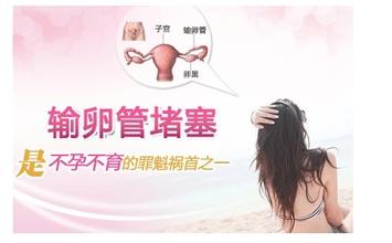 杭州女性要了解输卵管堵塞的危害，杜绝不孕影响
